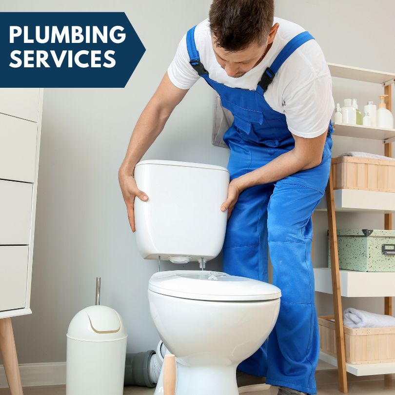 Plumbing Company in Pearl City, IL